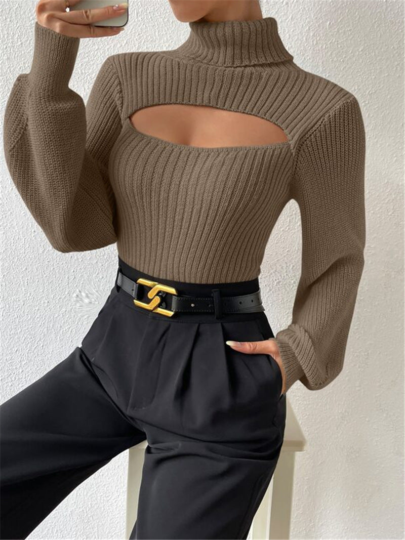 Women's Sexy Loose Turtleneck Hollow Out Outerwear Sweaters