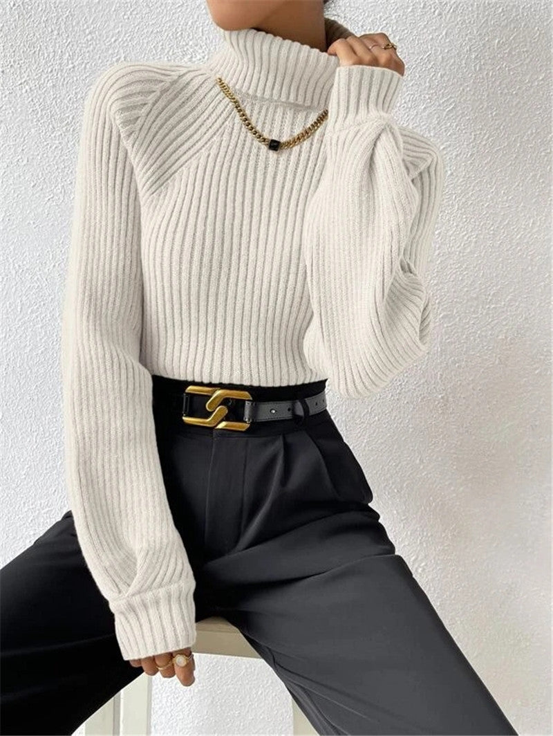 Women's Loose Slimming High Collar Raglan Sleeve Sweaters