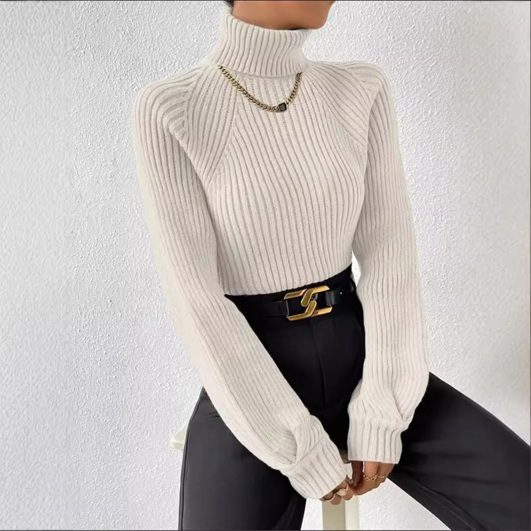 Women's Loose Slimming High Collar Raglan Sleeve Sweaters