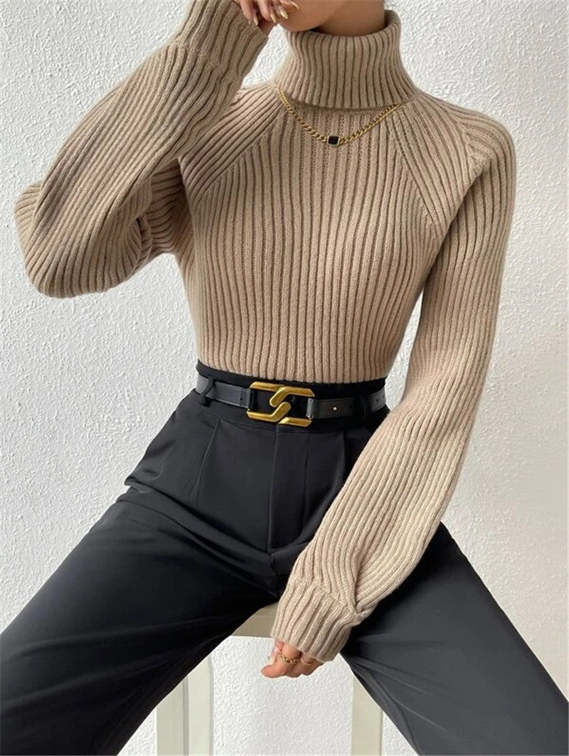 Women's Loose Slimming High Collar Raglan Sleeve Sweaters